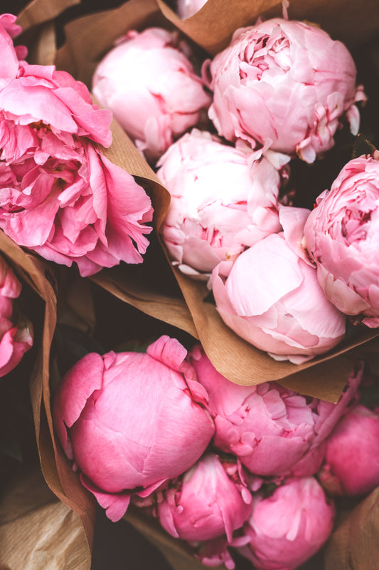 2026 Summer Bouquet CSA Subscription (6 weeks)