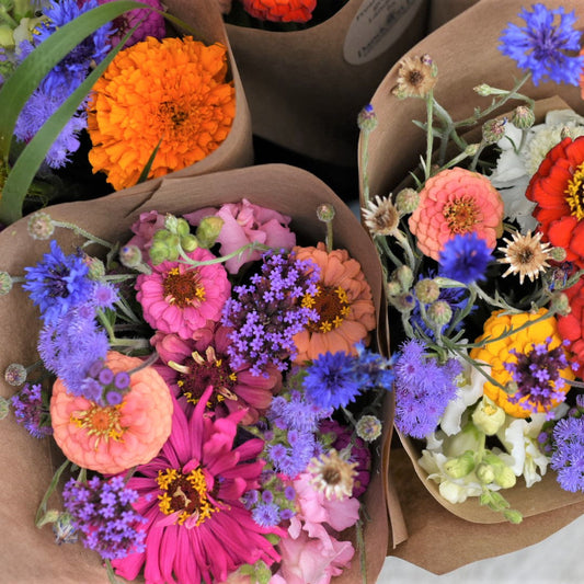 2026 Autumn Bouquet CSA Subscription (6 weeks)