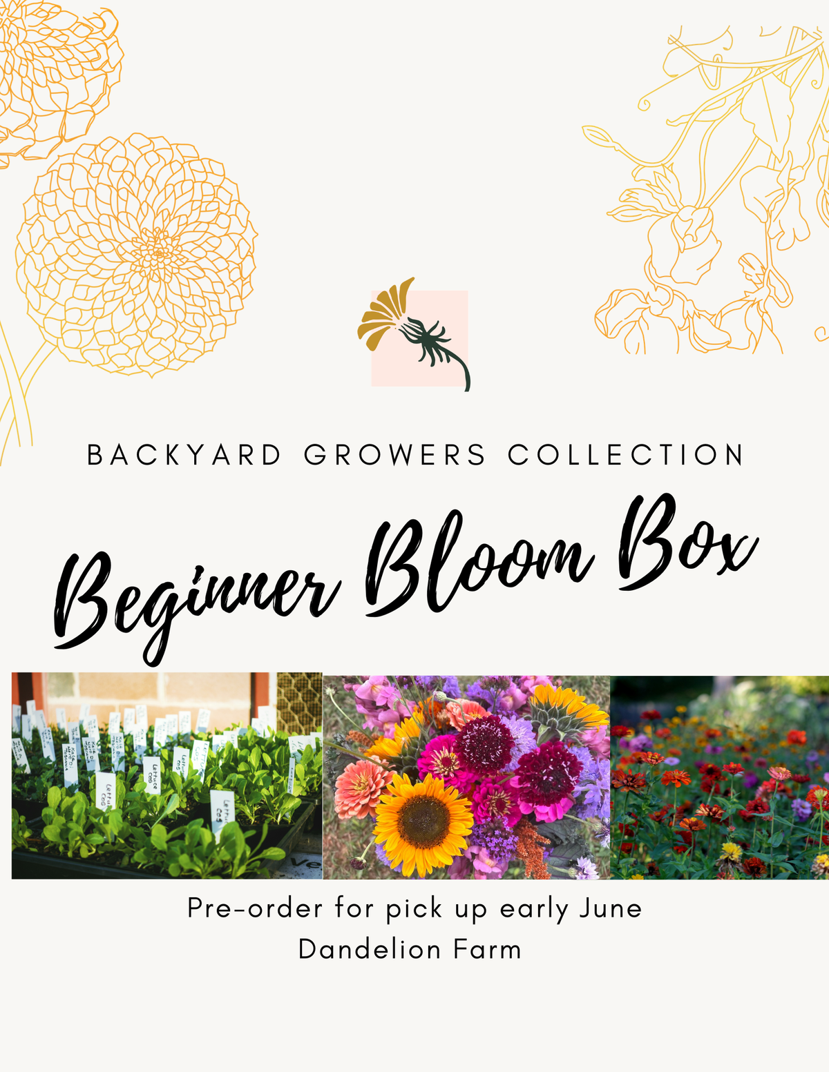 Beginner Bloom Box
