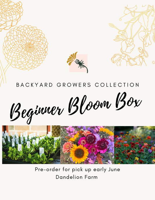 Beginner Bloom Box