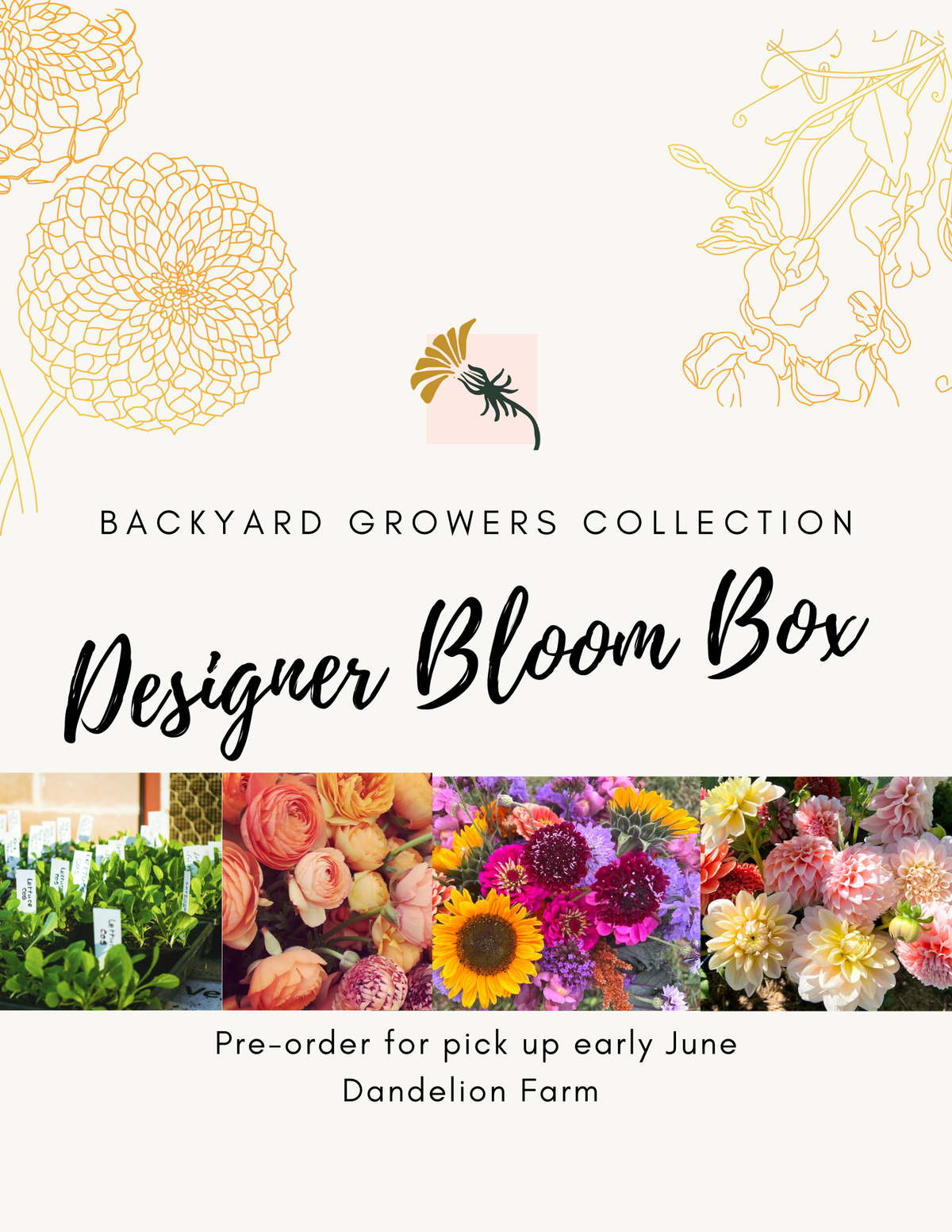 Designer Bloom Box