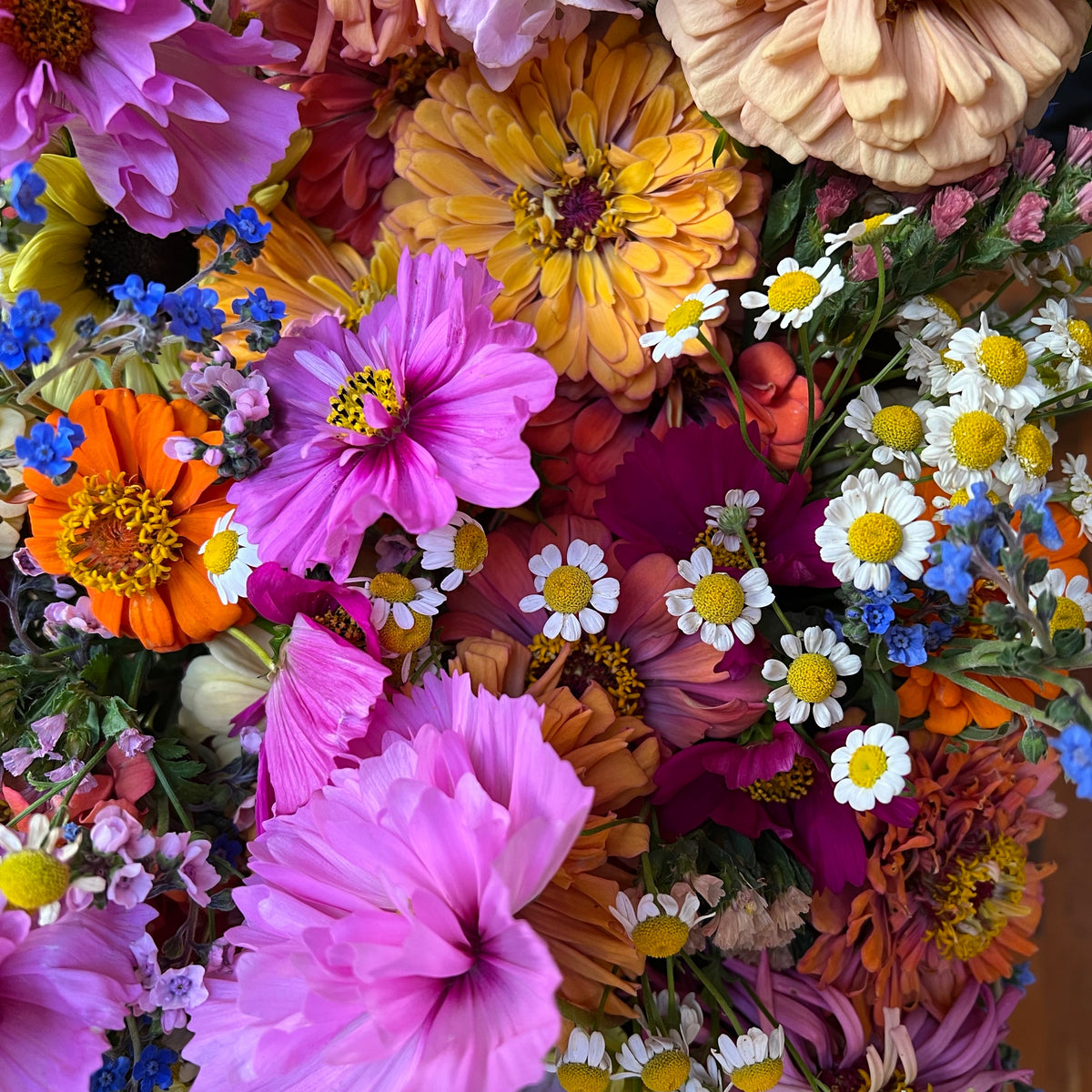 Beginner Bloom Box