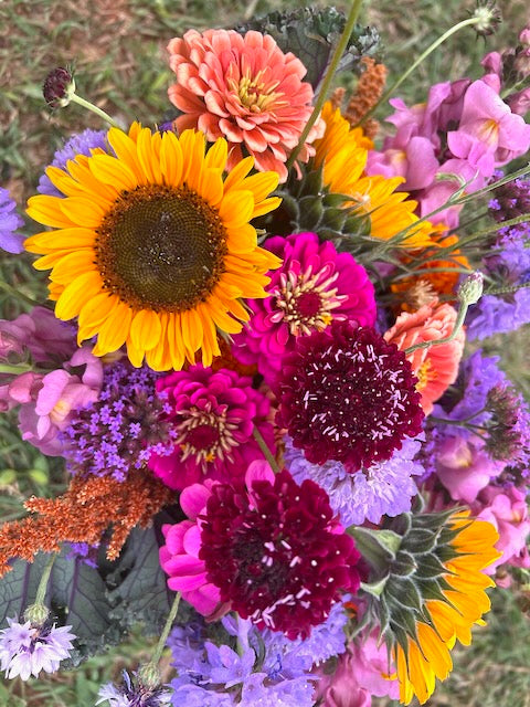 Beginner Bloom Box